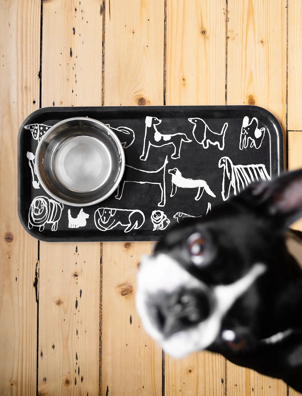 DOG TRAY - 43X22 CM
